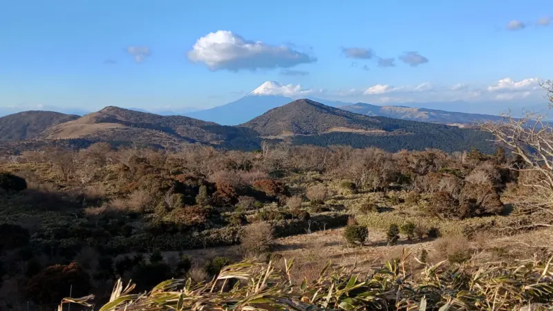 仁科峠からの富士山