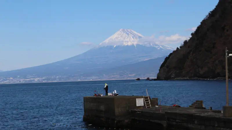 井田の海岸