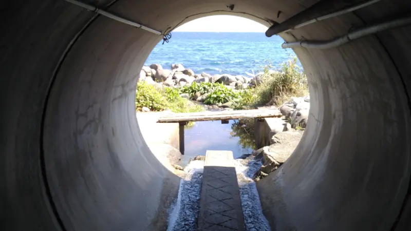 大川磯の湯に向かう道