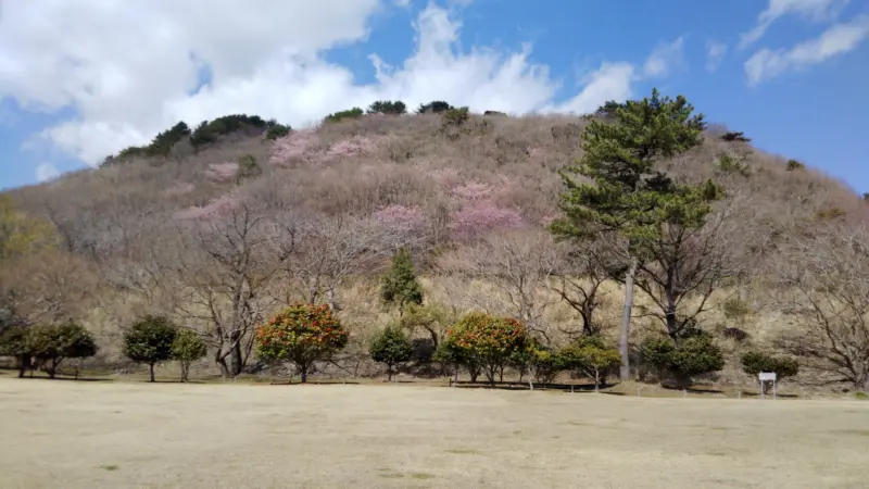 稲取高原芝生広場