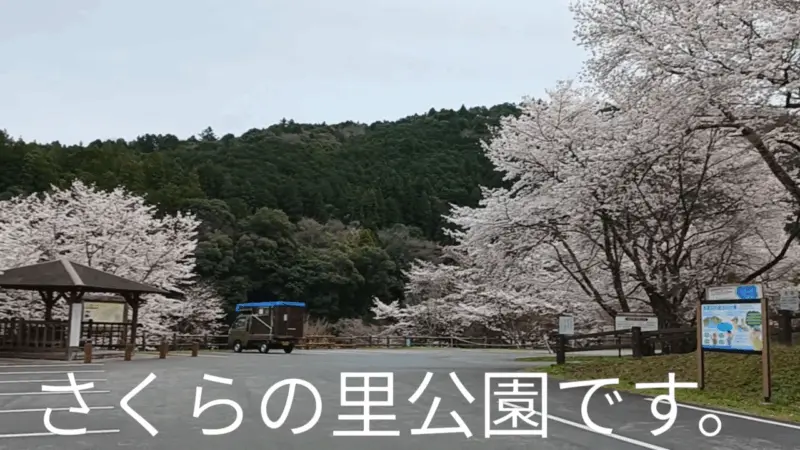 さくらの里公園