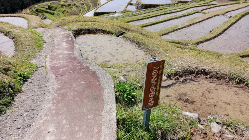 丸山千枚田