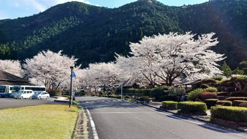 道の駅おくとろ
