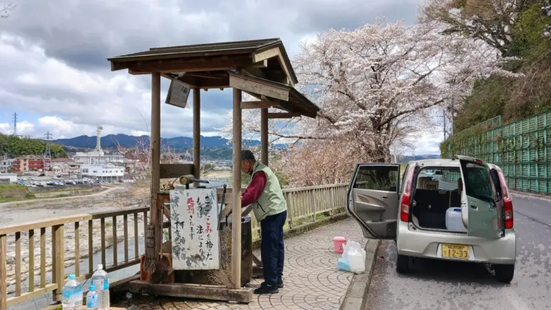 吉野川湧水