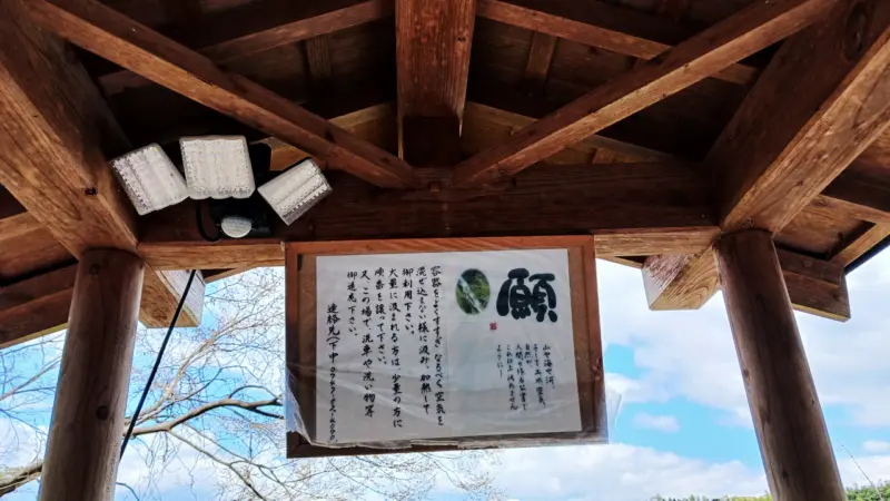 吉野川湧水