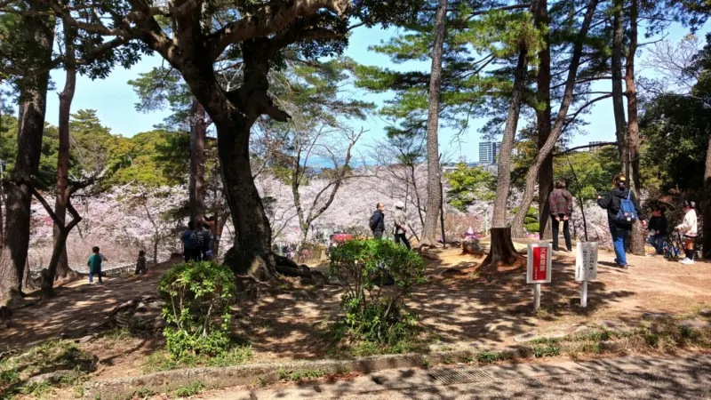 津偕楽園