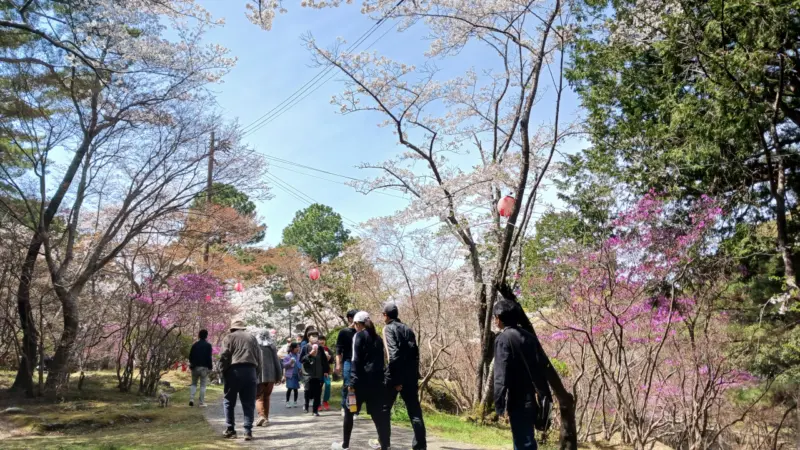津偕楽園
