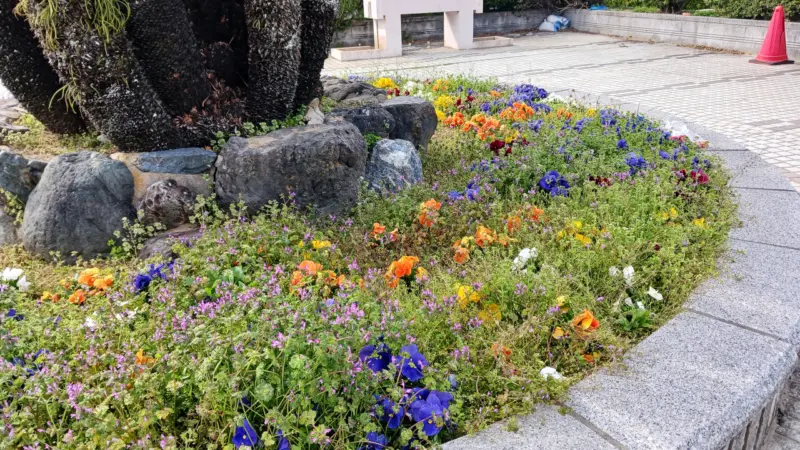 柿安コミュニティパークの花壇