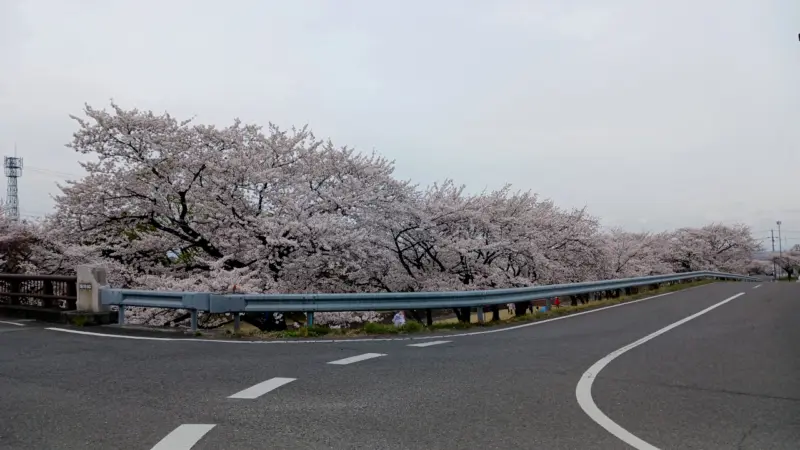 羽根谷だんだん公園