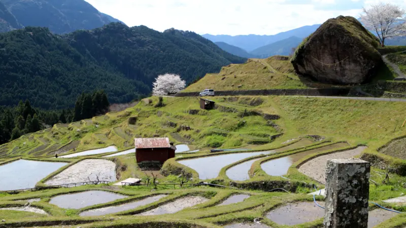 丸山千枚田