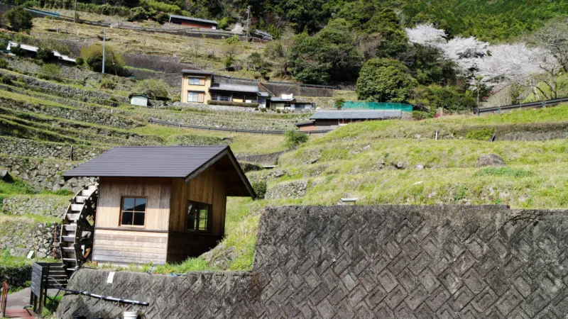 丸山千枚田
