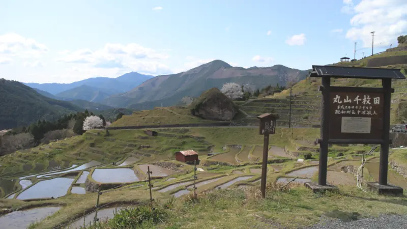 丸山千枚田