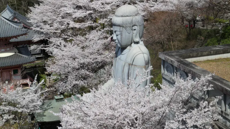 壺阪寺大仏