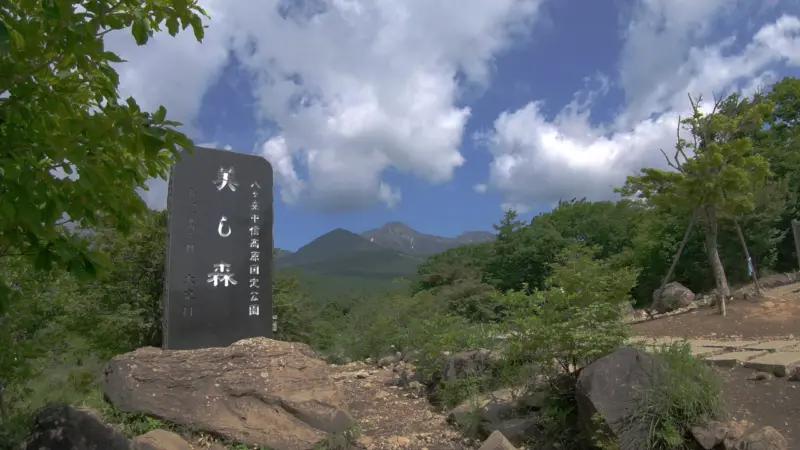 美し森頂上