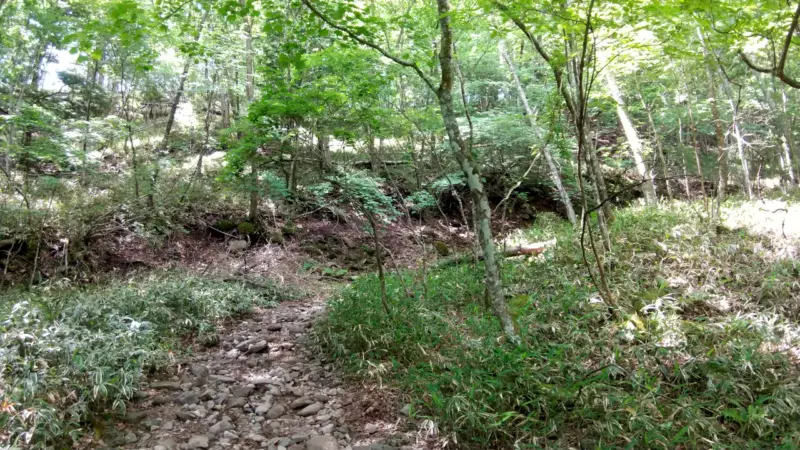 ジグザグ山道