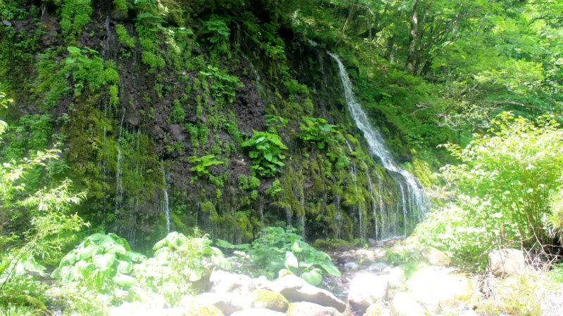 小滝