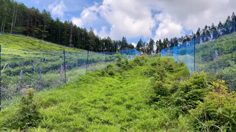 山道入口付近