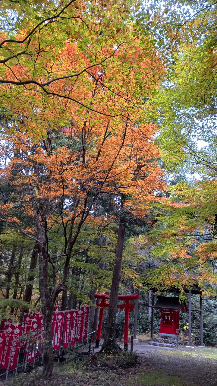 楓谷稲荷神社鳥居
