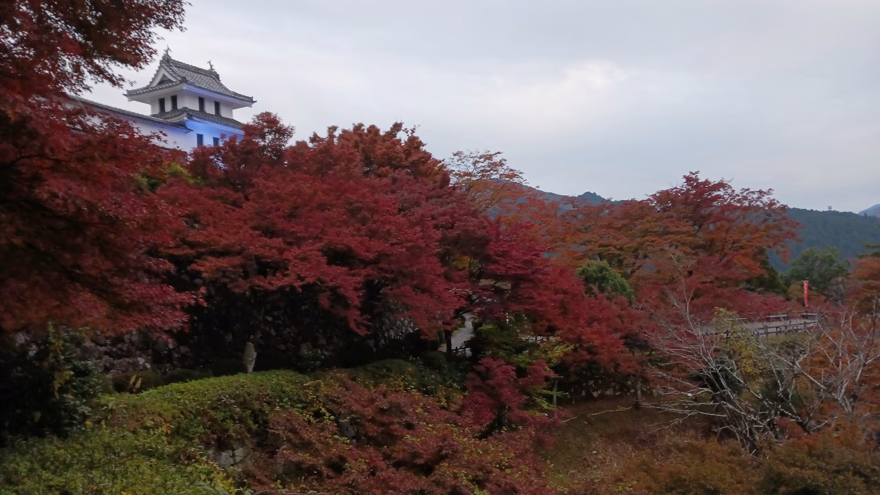 ライトアップされた八幡城と紅葉