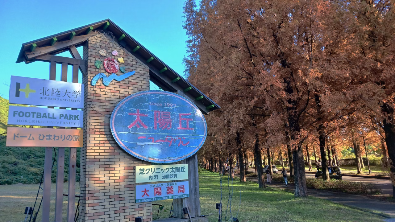 太陽の丘メタセコイア