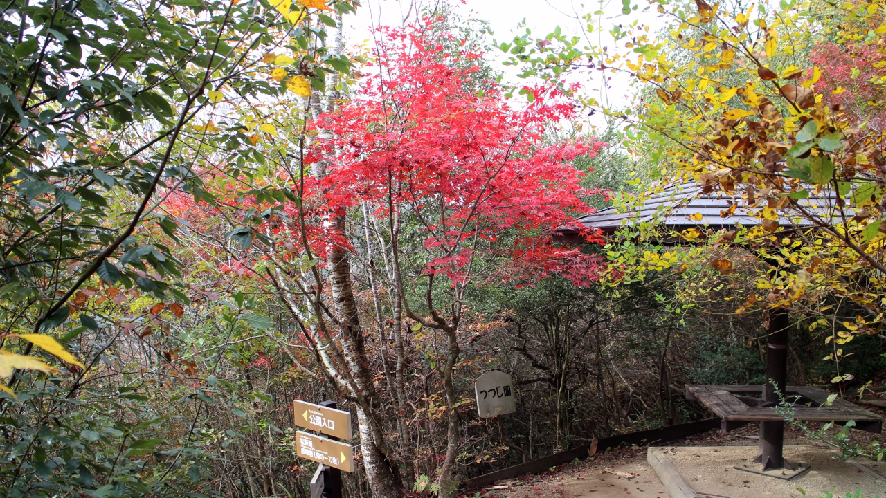 つつじ園休憩所