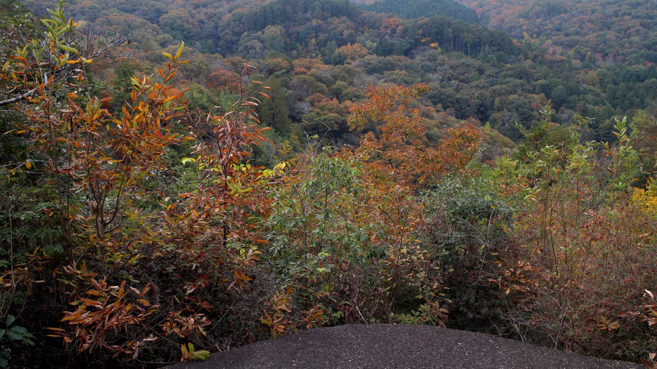 烏帽子岩上からの眺め