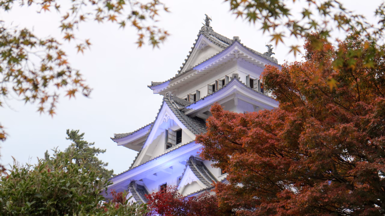 ライトアップされた八幡城と紅葉