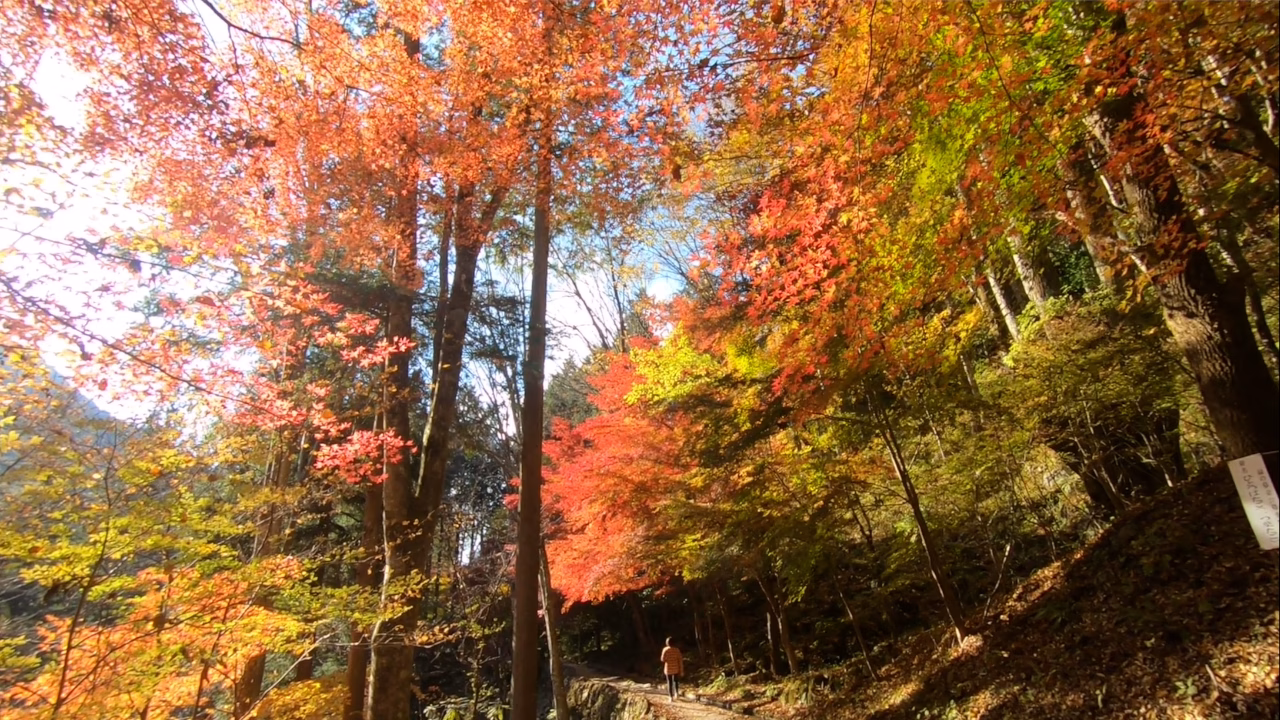 付知峡アイキャッチ画像