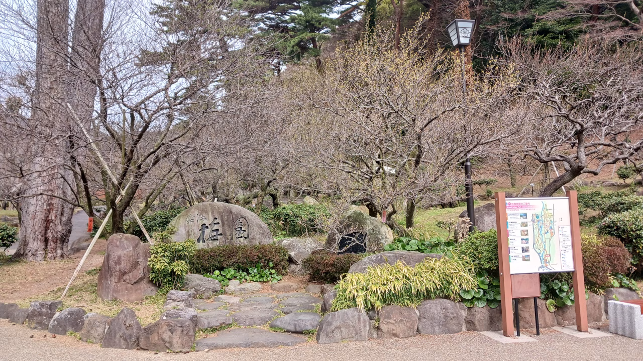 熱海梅園