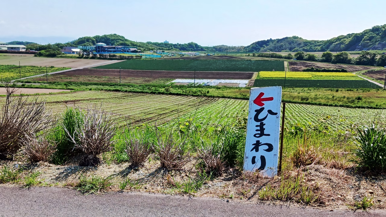 ひまわりの道標