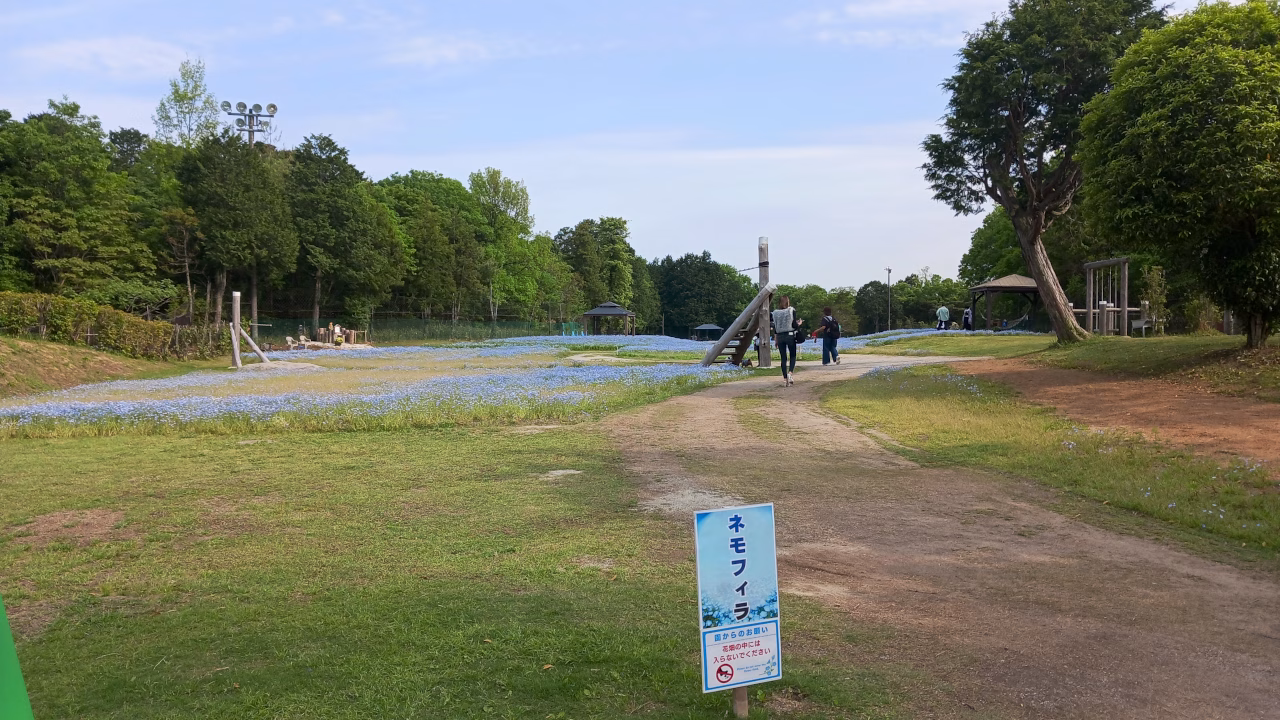 ネモフィラ畑入口