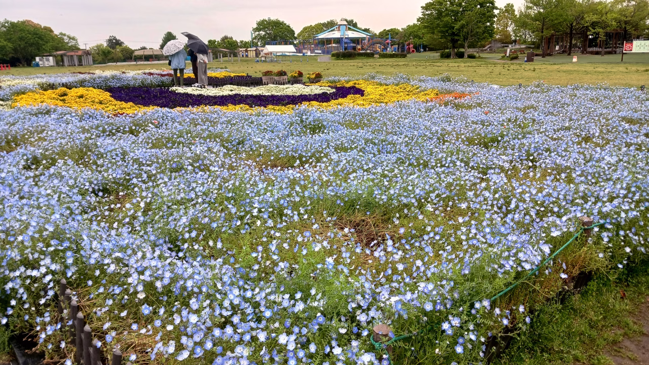 芝生広場の花壇