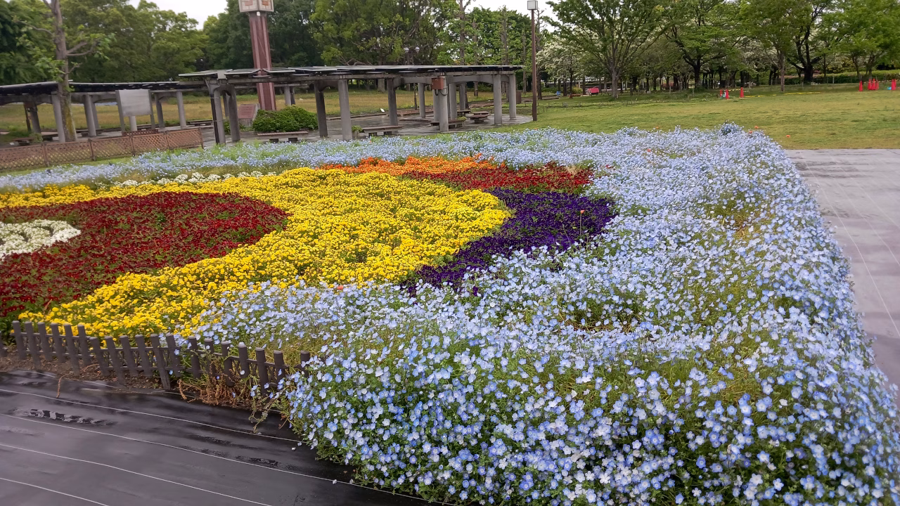 芝生広場の花壇