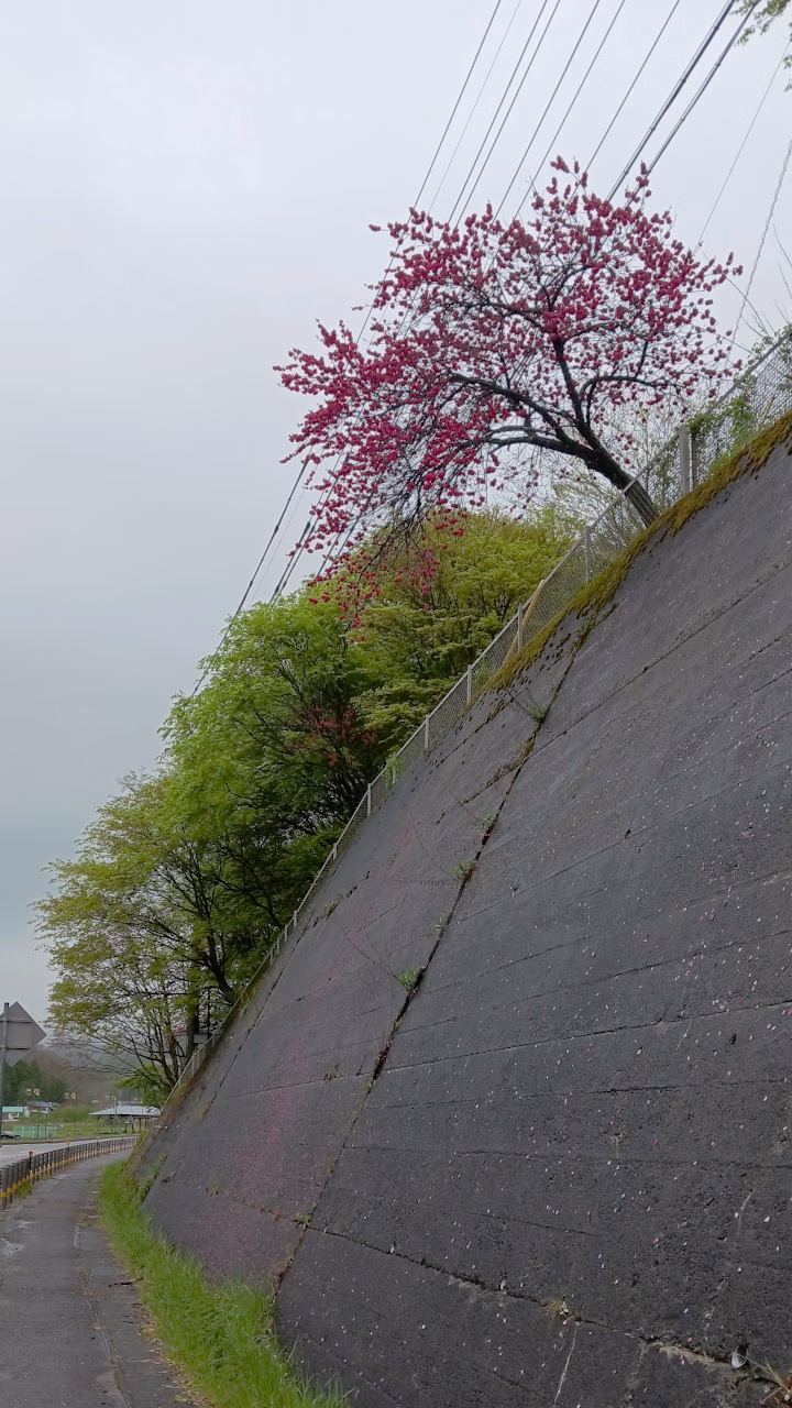 法面に花びら模様